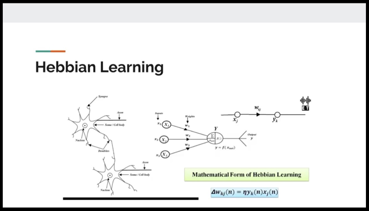 Screenshot of the Learning in Brain and ANN project